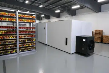 Ekotec Meyve Kurutma Makinesi Raflarda meyveler ve yanında meyve kurutma makinesi